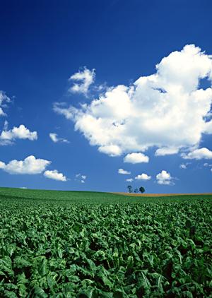 磐田市二之宮にある富士葬祭 中泉：家族葬から一般葬まで対応の安心の葬儀場