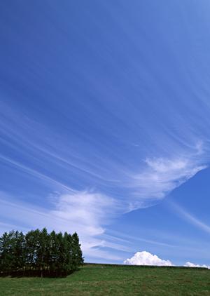 【最新情報】さがみ典礼の家族葬 旭｜栃木県宇都宮市における安心の葬儀サービスと特徴的な取り組み