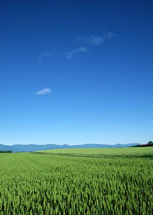 静岡県浜松市に新オープン！家族葬専門の斎場「家族葬のタクセル有玉南町」の特徴とサービス内容