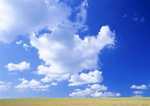 静岡県焼津市の家族葬専門斎場「家族葬のタクセル東小川」：安心・低価格・多様な宗派対応の葬儀サービス