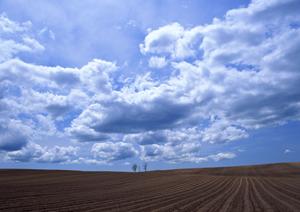 栃木宇都宮での信頼の葬儀サービス：さがみ典礼 滝の原の特徴と概要