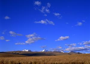 家族葬のタクセル平松本町｜栃木県宇都宮市の安心・低価格な家族葬専門斎場