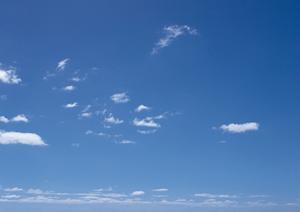 家族葬専門の斎場「家族葬のタクセル新緑町」：栃木県那須塩原市での安心葬儀プランと特徴